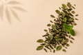 Existence Brewed Still loose-leaf Moroccan mint green tea with dried tea leaves and fresh mint.